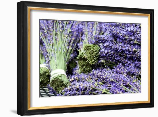 Lavender Bunches I-Dana Styber-Framed Photographic Print