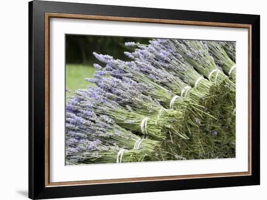 Lavender Bunches II-Dana Styber-Framed Photographic Print