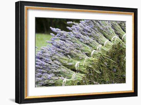 Lavender Bunches II-Dana Styber-Framed Photographic Print