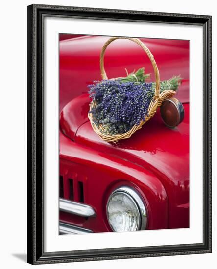 Lavender Bunches Rest on an Old Farm Pickup Truck, Washington, USA-Brent Bergherm-Framed Photographic Print