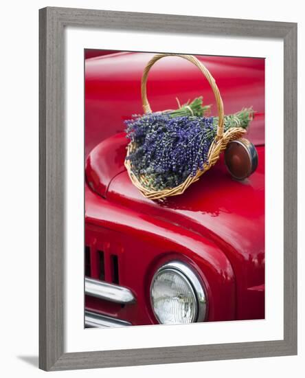 Lavender Bunches Rest on an Old Farm Pickup Truck, Washington, USA-Brent Bergherm-Framed Photographic Print