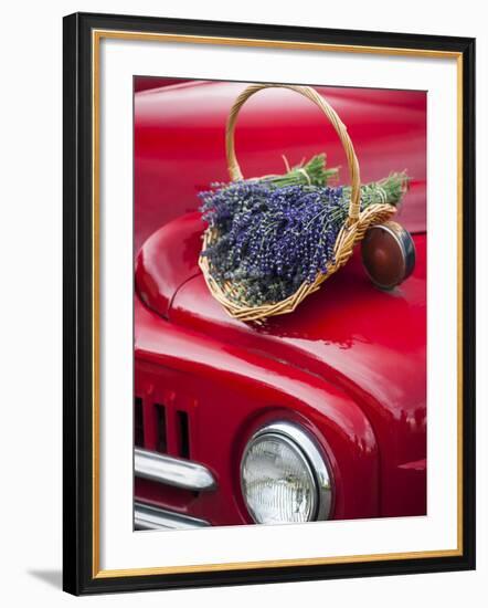 Lavender Bunches Rest on an Old Farm Pickup Truck, Washington, USA-Brent Bergherm-Framed Photographic Print