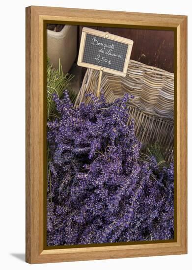 Lavender bunches to sales, Provence-Andrea Haase-Framed Premier Image Canvas