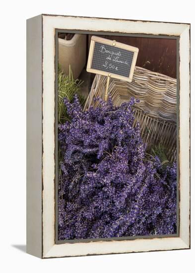 Lavender bunches to sales, Provence-Andrea Haase-Framed Premier Image Canvas