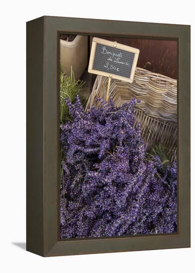 Lavender bunches to sales, Provence-Andrea Haase-Framed Premier Image Canvas