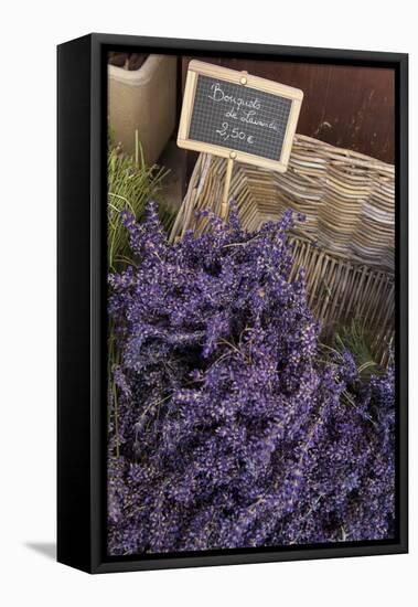 Lavender bunches to sales, Provence-Andrea Haase-Framed Premier Image Canvas