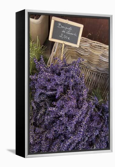 Lavender bunches to sales, Provence-Andrea Haase-Framed Premier Image Canvas