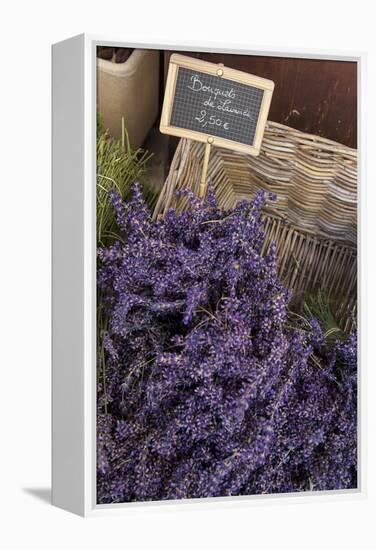 Lavender bunches to sales, Provence-Andrea Haase-Framed Premier Image Canvas