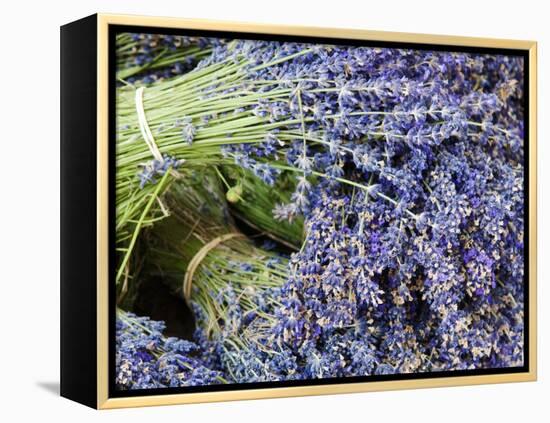 Lavender Bundles for Sale in Roussillon, Sault, Provence, France-Nadia Isakova-Framed Premier Image Canvas