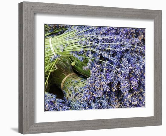 Lavender Bundles for Sale in Roussillon, Sault, Provence, France-Nadia Isakova-Framed Photographic Print