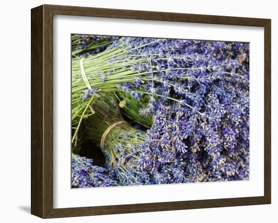 Lavender Bundles for Sale in Roussillon, Sault, Provence, France-Nadia Isakova-Framed Photographic Print