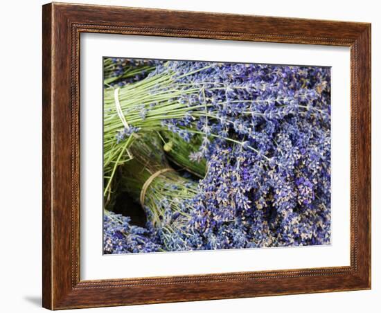 Lavender Bundles for Sale in Roussillon, Sault, Provence, France-Nadia Isakova-Framed Photographic Print