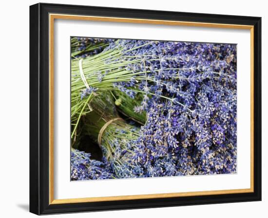 Lavender Bundles for Sale in Roussillon, Sault, Provence, France-Nadia Isakova-Framed Photographic Print