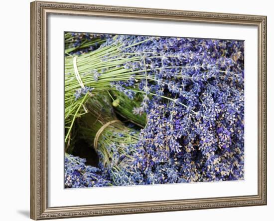 Lavender Bundles for Sale in Roussillon, Sault, Provence, France-Nadia Isakova-Framed Photographic Print