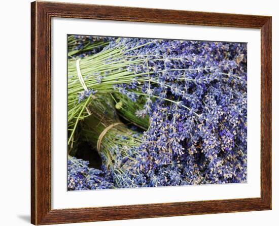 Lavender Bundles for Sale in Roussillon, Sault, Provence, France-Nadia Isakova-Framed Photographic Print