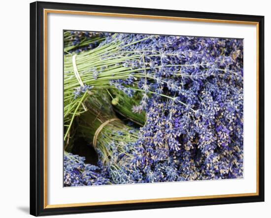 Lavender Bundles for Sale in Roussillon, Sault, Provence, France-Nadia Isakova-Framed Photographic Print