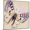 Lavender Butterfly on Cream-Patricia Pinto-Mounted Art Print