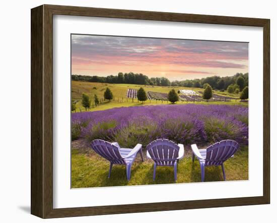 Lavender Chairs, Horton Bay, Michigan '14-Monte Nagler-Framed Photographic Print