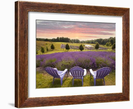 Lavender Chairs, Horton Bay, Michigan '14-Monte Nagler-Framed Photographic Print