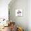 Lavender Chrysanthemum-Albert Koetsier-Premium Photographic Print displayed on a wall