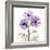 Lavender Chrysanthemum-Albert Koetsier-Framed Photographic Print