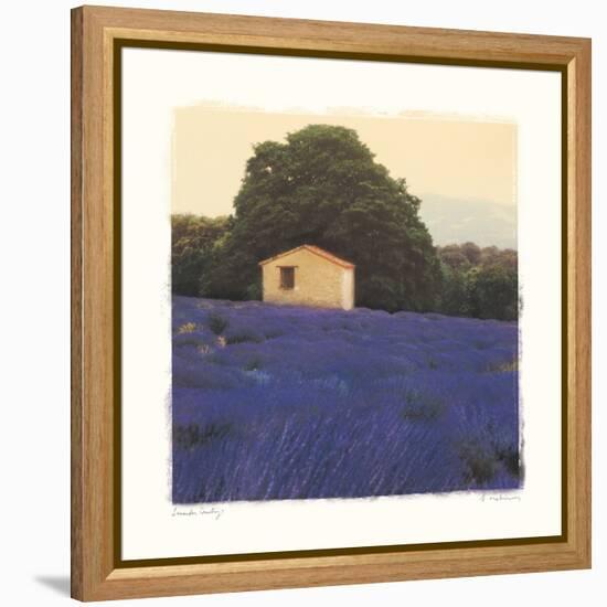 Lavender Country-Amy Melious-Framed Stretched Canvas