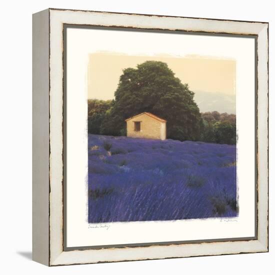 Lavender Country-Amy Melious-Framed Stretched Canvas