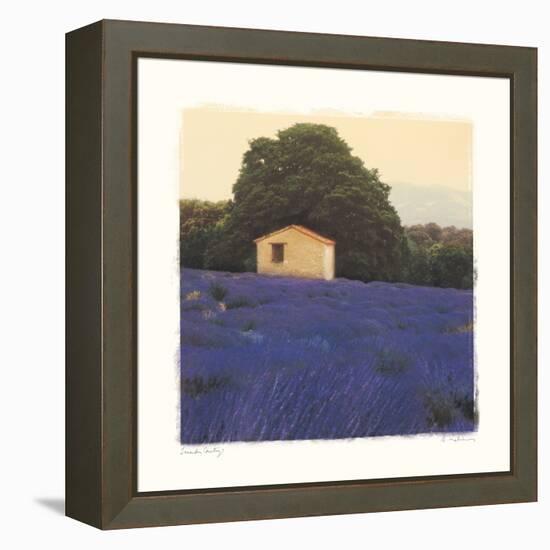 Lavender Country-Amy Melious-Framed Stretched Canvas