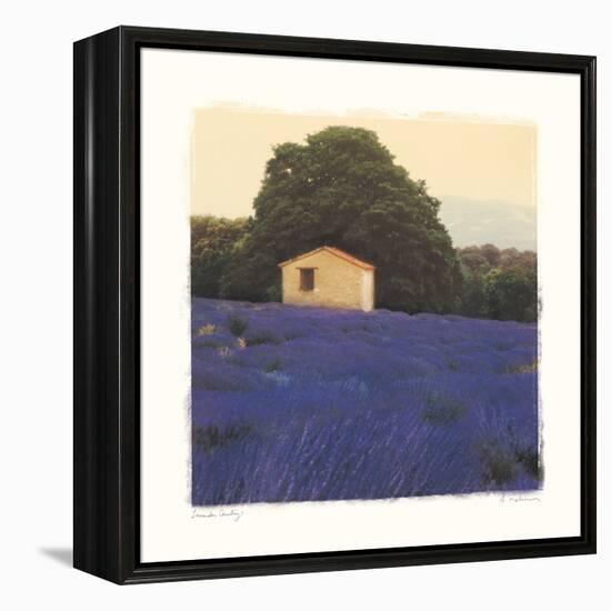 Lavender Country-Amy Melious-Framed Stretched Canvas