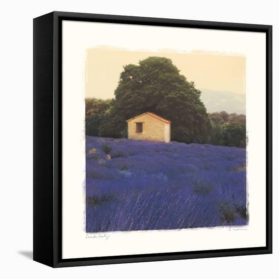 Lavender Country-Amy Melious-Framed Stretched Canvas