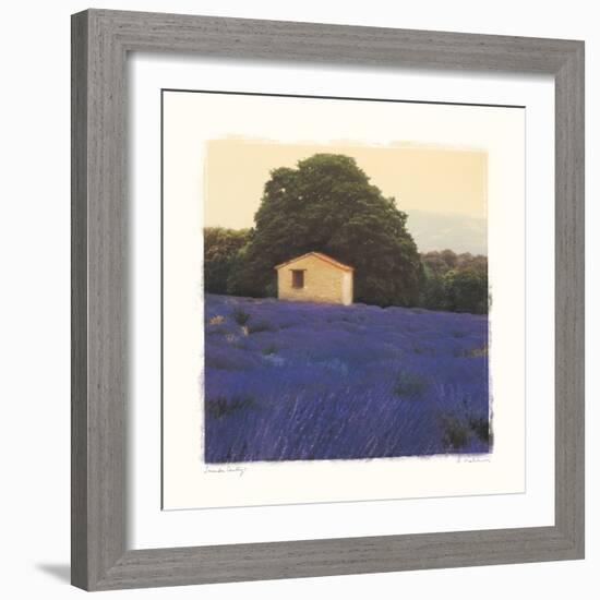 Lavender Country-Amy Melious-Framed Art Print