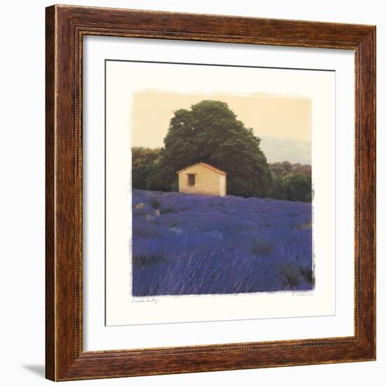 Lavender Country-Amy Melious-Framed Art Print