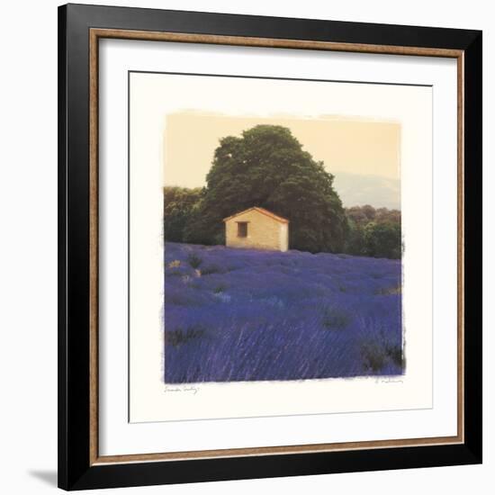 Lavender Country-Amy Melious-Framed Art Print