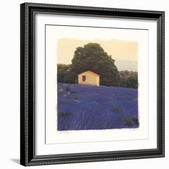 Lavender Country-Amy Melious-Framed Art Print