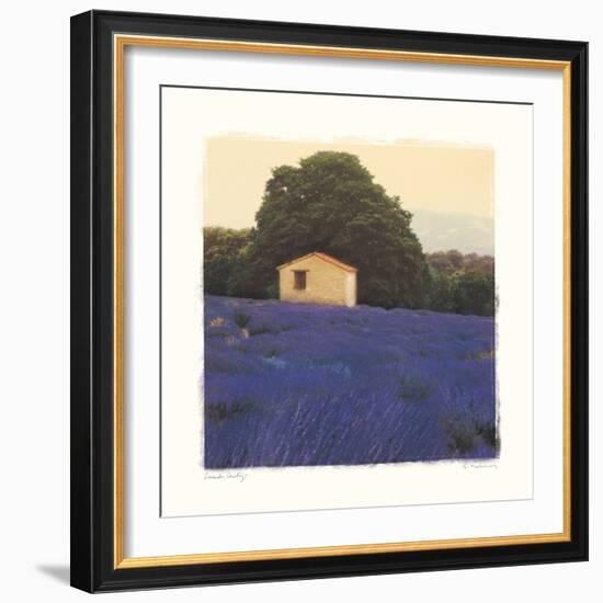 Lavender Country-Amy Melious-Framed Art Print