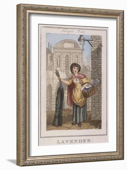 Lavender, Cries of London, 1804-William Marshall Craig-Framed Giclee Print