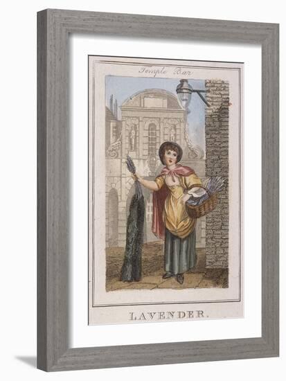 Lavender, Cries of London, 1804-William Marshall Craig-Framed Giclee Print