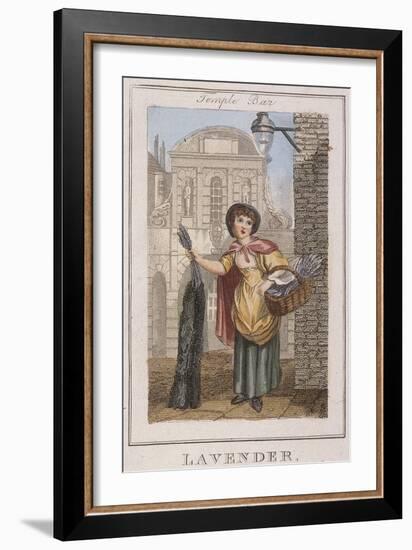 Lavender, Cries of London, 1804-William Marshall Craig-Framed Giclee Print