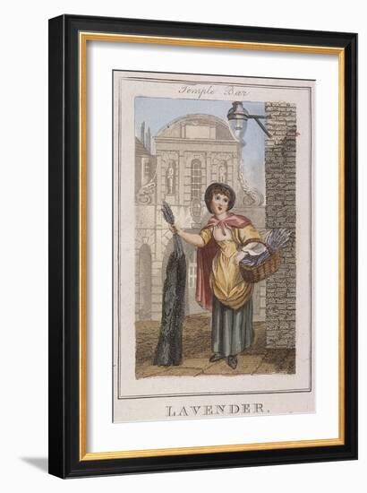 Lavender, Cries of London, 1804-William Marshall Craig-Framed Giclee Print