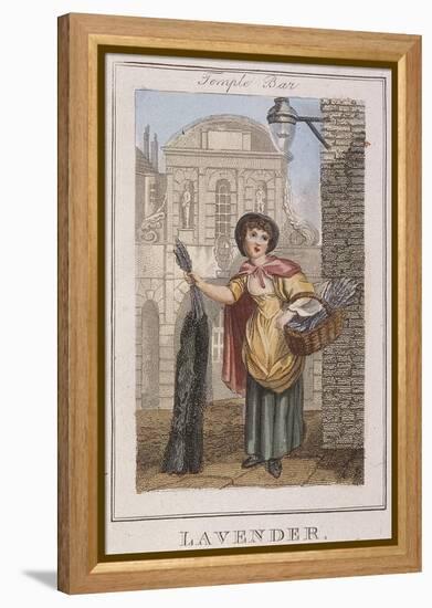 Lavender, Cries of London, 1804-William Marshall Craig-Framed Premier Image Canvas