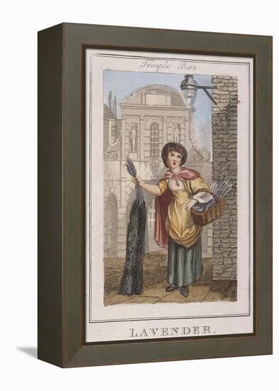 Lavender, Cries of London, 1804-William Marshall Craig-Framed Premier Image Canvas