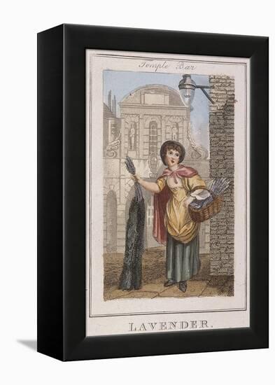 Lavender, Cries of London, 1804-William Marshall Craig-Framed Premier Image Canvas