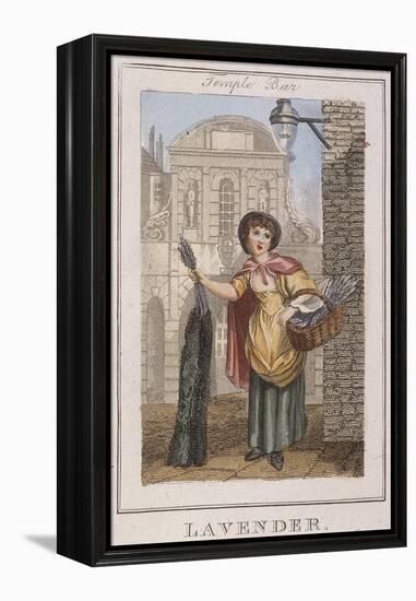 Lavender, Cries of London, 1804-William Marshall Craig-Framed Premier Image Canvas