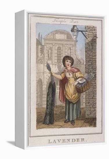 Lavender, Cries of London, 1804-William Marshall Craig-Framed Premier Image Canvas