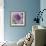 Lavender Dahlia III-Rita Crane-Framed Photographic Print displayed on a wall