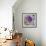 Lavender Dahlia III-Rita Crane-Framed Photographic Print displayed on a wall