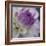 Lavender Dahlia III-Rita Crane-Framed Photographic Print
