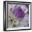 Lavender Dahlia III-Rita Crane-Framed Photographic Print