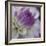 Lavender Dahlia III-Rita Crane-Framed Photographic Print