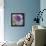 Lavender Dahlia III-Rita Crane-Framed Premier Image Canvas displayed on a wall